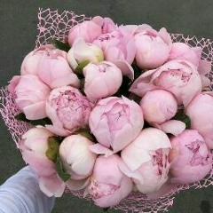 Диана Заргарян