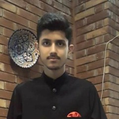 Syed Muhammad Hussain