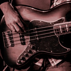 Craig Kelly | Electric+Upright Bass