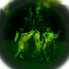 subtle_growth_in_the_terrarium