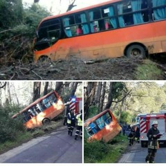 matiassss🍄🍟🍕