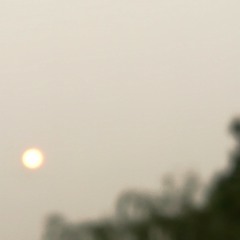 fuckifiknow514Frosty