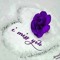 saleem