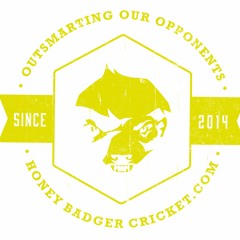 Honeybadgercricket.com
