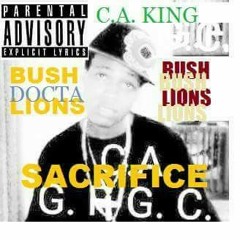 DOCTA C.A. KING BUSH-LIONS