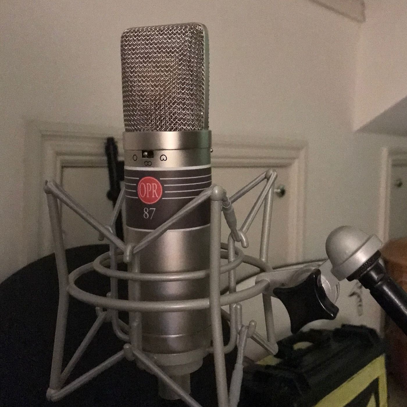 100-Day Podcast podcast artwork
