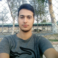 Nurullah Turann