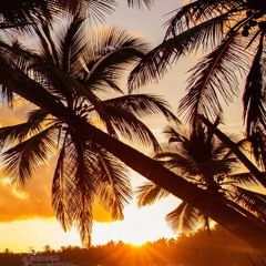 Mr.ŞдĻiĤ Tдjдb