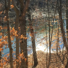 7th Gilligan/ Bob Gilligan