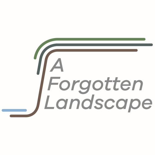 a forgotten landscape’s avatar