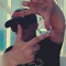 Emotion Love