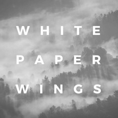 White Paper Wings