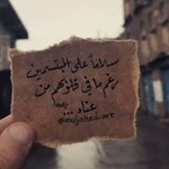 Gehad Mahmoud