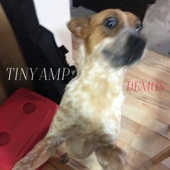 Tiny Amp
