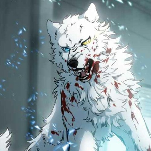 Wolf lover’s avatar