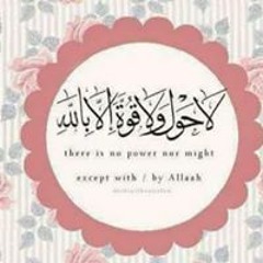 محمد محمود الجندى