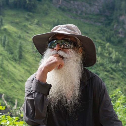 Sadhguru’s avatar