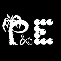 Perkussion & Elektronik