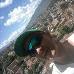 Sebastian Andres Gonzalez