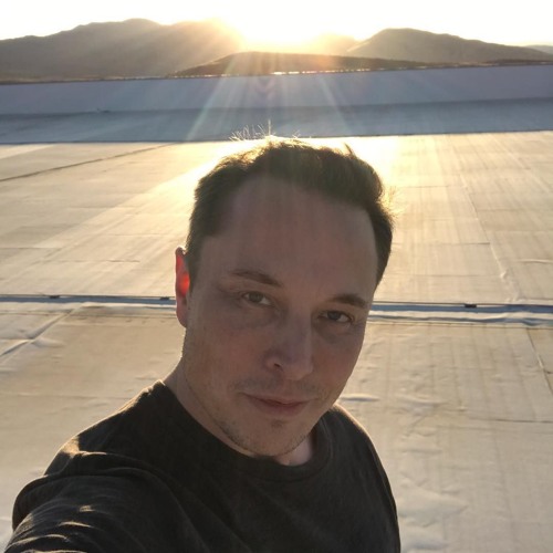 Elon Musk’s avatar