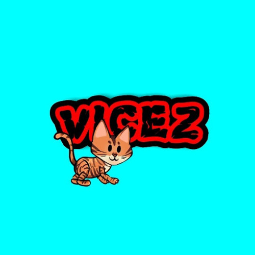 VICEZ’s avatar