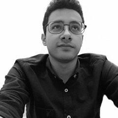 Mahmoud Abd Elaziz