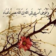 Omnia Kamal