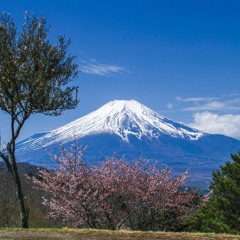 サトシ