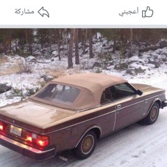 Mahmod Masrya Cool