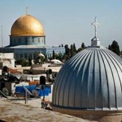 نصر صادق سعيد سعيد