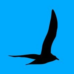 GAVIOTA^^