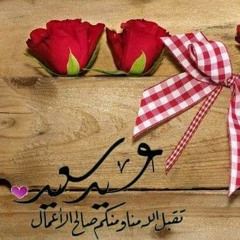 salah mohamed