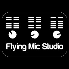 FlyingMicStudio