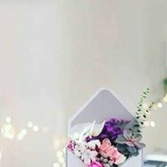 Alaa