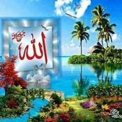عبدالله ابو شهد