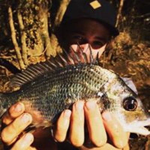 Stream skorozone music | Listen to songs, albums, playlists for free on ...