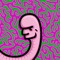 worm