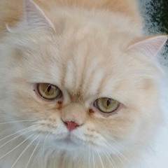 Catequil