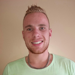 Vince Langereis