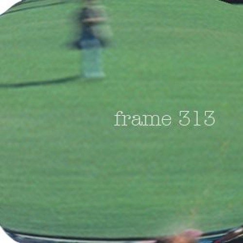 frame 313’s avatar