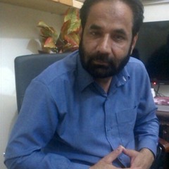 Neel Hussain