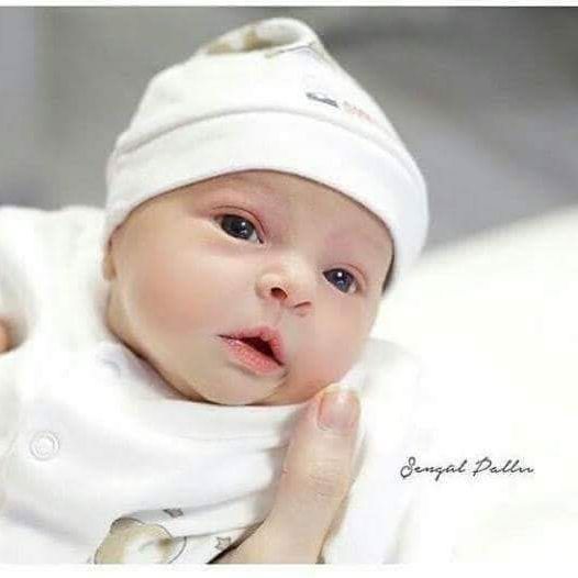 Mohamed Balsha