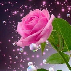 asmaarabie