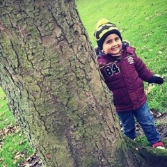 Naqeeb