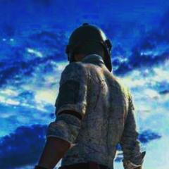 pubg y mass