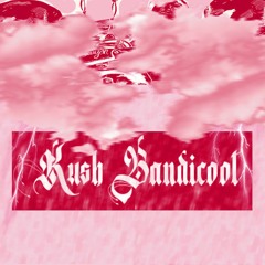Kush Bandicoot