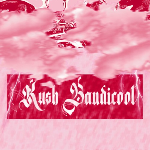 Kush Bandicoot’s avatar
