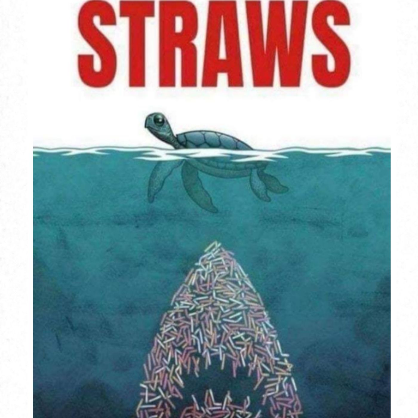 Ocean Conservation Conversation