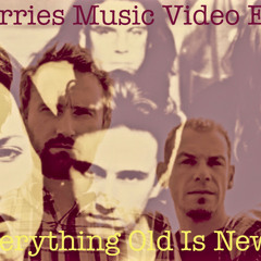 Cranberries Library