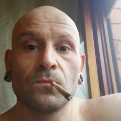 mondogbr